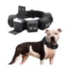 Free Weights Dog Collar for Adjustable Weighted Exercise Training and Flexibility