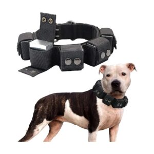 Free Weights Dog Collar for Adjustable Weighted Exercise Training and Flexibility