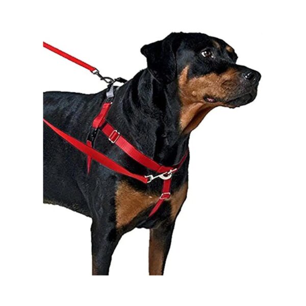 Freedom No Pull Dog Harness Small Size for Internal Dog Wear with Soft Velvet Lining