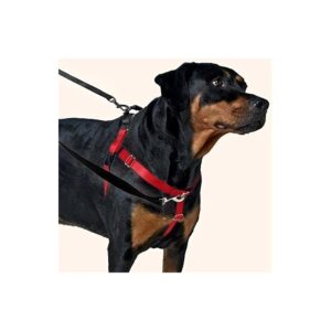 Freedom No-Pull Dog Harness with Leash, Medium, Raspberry, 1-Inch Wide