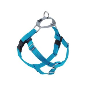 Freedom No-Pull Harness X-Large 1 Wide in Turquoise with Silver Loop for Big Dogs