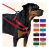 Freedom No-Pull Harness XLarge Raspberry 1 Inch Width Solid