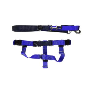 Freedom No Pull Harness and Leash Kit for Large Dogs in Royal Blue for Training