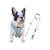 French Bull Dog Medium Harness with Matching Leash and Adjustable Buckles for Perfect Fit