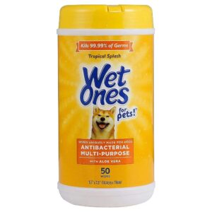 Fresh and Clean Pets with Wet Ones All-Purpose Dog Wipes