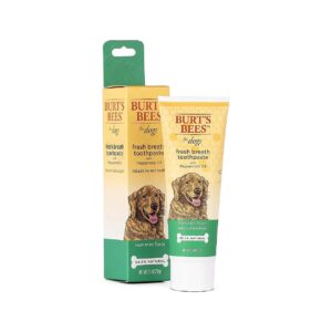 Fresh and Healthy Teeth for Dogs with this 5% Natural Toothpaste