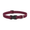 Friendly Adjustable Collar for Small Dogs with Plush Weave