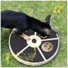 Friendly Dog Scratch Pad and Puzzle Feeder with Attractive Music