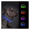 Friendly LED Dog Collar in Blue - Adjustable and Comfortable for Small Breed Dogs