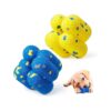 Friendly Materials Dog Balls for Reduced Stress and Anxiety in Dogs