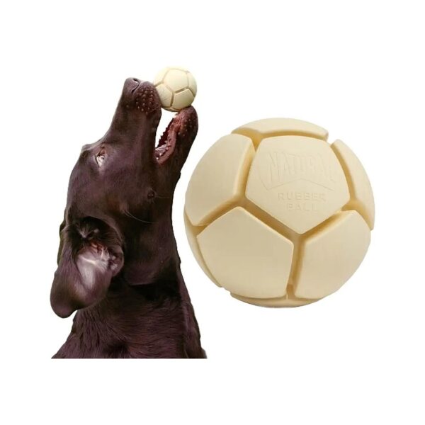 Friendly Natural Rubber Ball for Dentally Healthy Dogs, Medium Size, 5