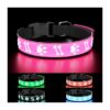 Friendly Pink Nylon Dog Collar with LED Light and Adjustable Buckle for Medium Dogs