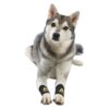 Front Leg Paw Compression Wraps for Dogs with Pain Relief and Injury Support