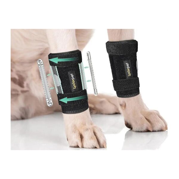 Front Leg Wrist Support for Dogs with Chronic Carpal Joint Pain and Arthritis Relief