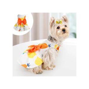 Fruit Pattern Princess Dog Dress for Female Yorkies and Small Breed Dogs