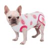 Fruit Print Dog Recovery Suit for After-Surgery Care, Soft and Breathable Material