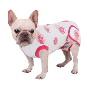 Fruit Print Dog Recovery Suit for After-Surgery Care, Soft and Breathable Material