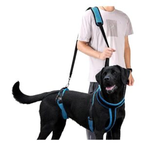 Full Body Support Dog Harness for Old and Disabled Dogs with Hind Leg Injury