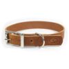 Full Grain Leather Dog Collar with High Quality Components for Active and Strong Dogs