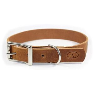 Full Grain Leather Dog Collar with High Quality Components for Active and Strong Dogs