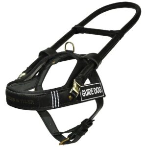 Full Grain Leather Dog Harness with Brass Hardware and Reflective Stripes Medium