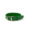 Full Grain Leather Padded Dog Collar Green for Medium Size