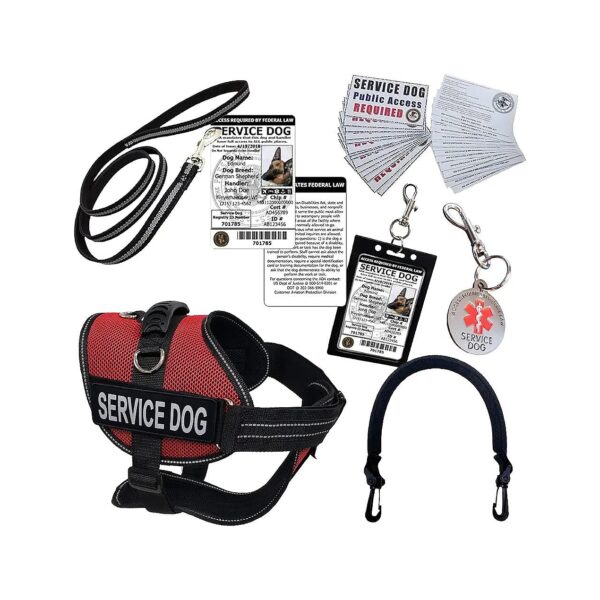 Full-Service Dog Starter Kit for Comfortable Secure Identification