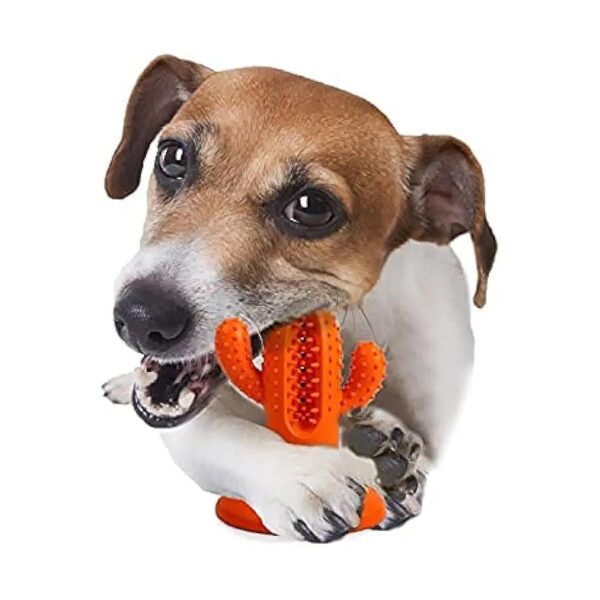 Fun Dog Chew Toy with Unique Cactus Shape for Little Pups to Enjoy