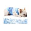 Fun Dog Cooling Coat for Outdoor Activities and Hot Summer Days