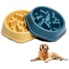 Fun and Challenging Meal Time Slow Feeder Dog Bowls for Medium Dogs