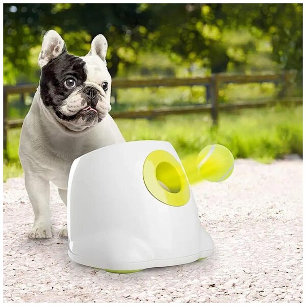 Fun and Easy Automatic Dog Ball Launcher for Small Pups, Tennis Ball Throwing Machine