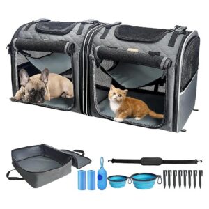 Functional Pet Travel Kit for Cats and Small Dogs with Tote Bag and Accessories