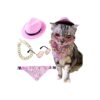 Funky Pet Cowgirl Costume with Adjustable Hat and Scarf for Cats and Dogs