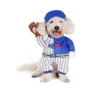 Funny Baseball Player Dog Costume for Small to Medium-Sized Dogs with Padded Body