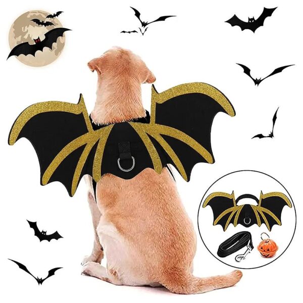 Funny Dog Bat Costume with Leash and Pumpkin Bells for Halloween Party and Festival