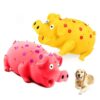 Funny Grunting Pig Dog Toy for Small Medium Large Dogs with Latex Squeaker