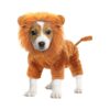 Funny Lion Dog Costume for Small Medium Pets Coral Fleece Material Halloween Party Outfit