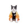 Funny Orange Pet Costume for Small Dogs, Medium Size, Breathable, and Nice Design