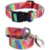 Funny Rainbow Collar and Leash Set for Small to Large Breed Dogs and Cats