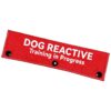 Funny Red Dog Leash Wrap with Alert and ID Tag for Pet Training and Walking Fitness