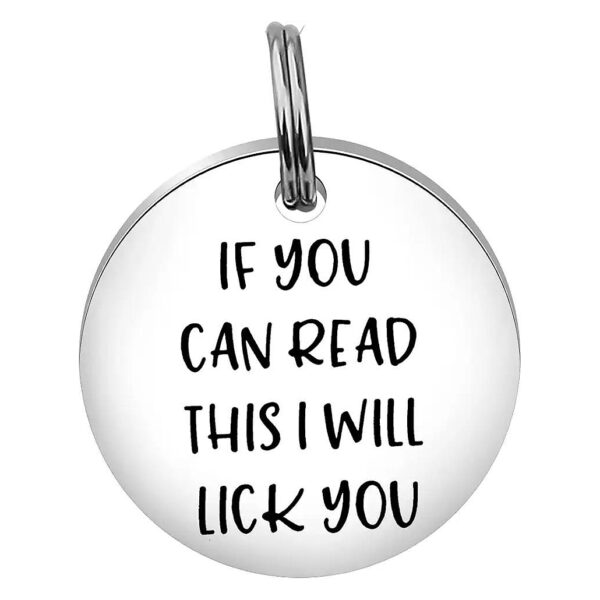 Funny Stainless Steel Pet ID Tag If You Can Read This I Will Lick You Pet Gift