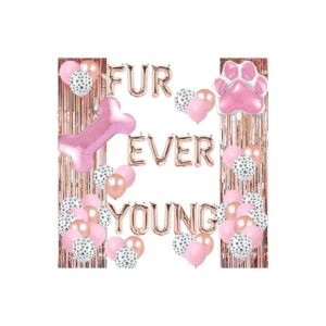 Fur Ever Young Rose Gold Balloons and Decorations for a Dog's Fourth Birthday Party