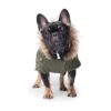 Fur Trim Dog Parka Coat with Insulation for Winter Walks Size 14 Army Green