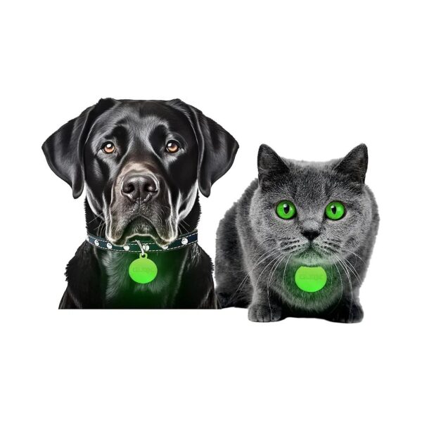 GLO-X Pet Collar Glow Tags - Innovative Night-Time Safety Solution for Cats and Dogs