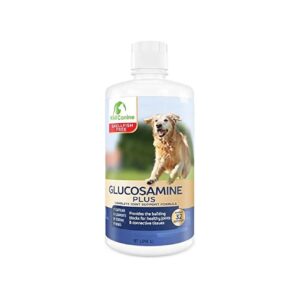 GMO and Shellfish-Free Glucosamine Spray for Dog Hip and Joint Health