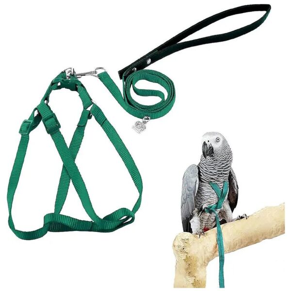 Galah Cockatoos Bird Harness and Leash for Parrots with Adjustable Size