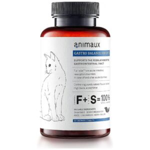 Gastrointestinal Health Supplement for Cats with Antioxidant-Rich Ingredients