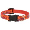 Gecko Patterned Adjustable Collar for Small Dogs with Neck Sizes 10-16