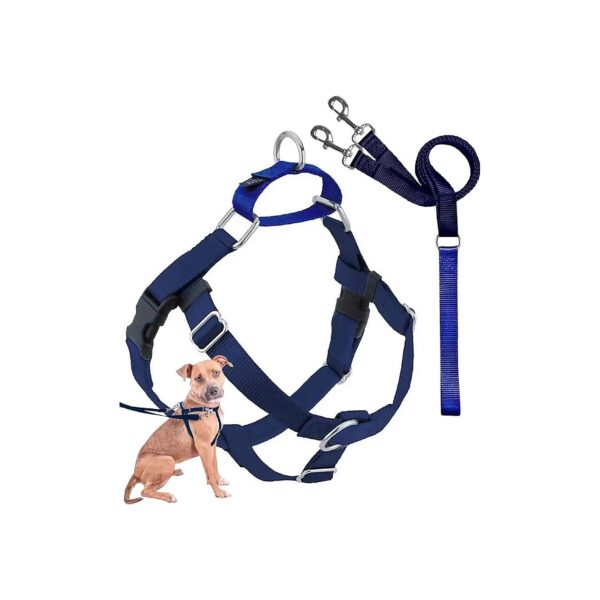 Gentle, Adjustable Dog Harness with Leash for Small, Medium and Large Dogs