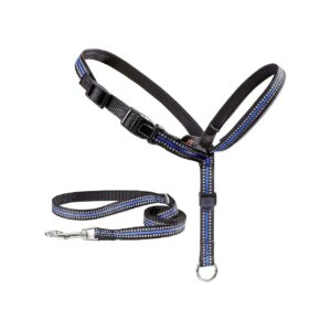 Gentle Head Halter for Small Medium Large Dogs with No Pull Training for Walking